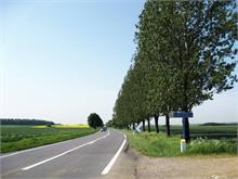 2008_05_050_campagne